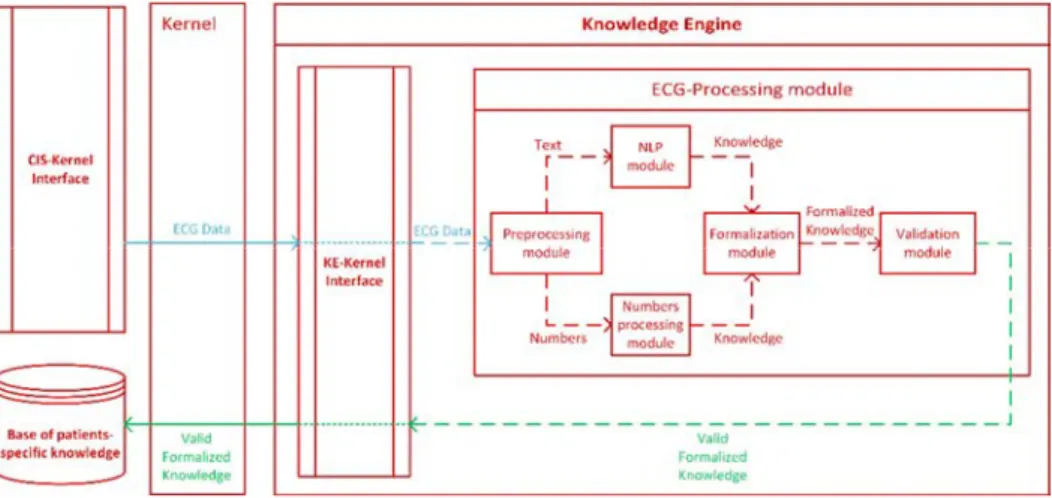 Fig. 3. Scheme for patient-specific knowledge extraction from echocardiographic data. 