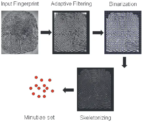 Figure 3.2: Illustration of the commonly implemented minutiae extraction method.