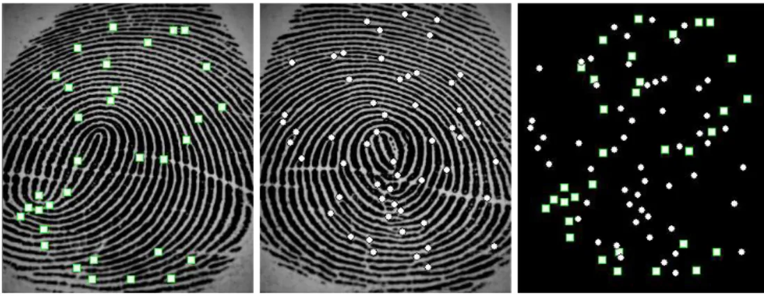 Figure 3.3: Two fingerprints A (on the left) and B (in the middle) are combined to form the multi-biometric template (A ∪ B on the right)