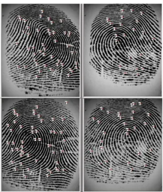 Figure 3.6: Sample quadruple fingerprints from the database. Top row shows fingerprints A and B; bottom row shows fingerprints A 0 and B 0 , left to right.