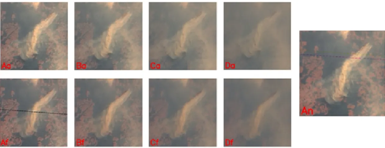 Figure 2.3: MISR nine camera views of a smoke plume on the 22nd of August 2010, in the Amazon