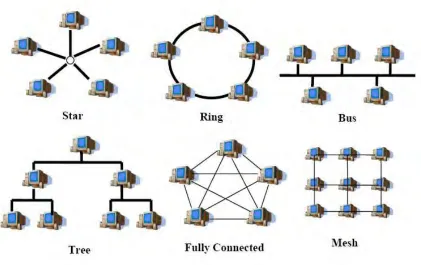 Figure 2.1 Basic Network Topologies 