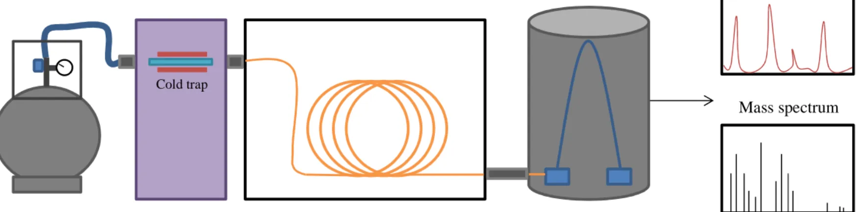 Figure 1-5. Schematic of a typical laboratory set-up for the analysis of gaseous samples.