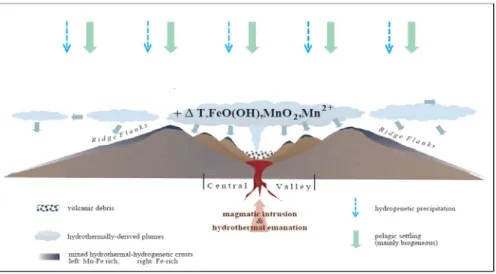 Figure 1: Schematic representation of the sedimentary processes on mid-ocean ridges 