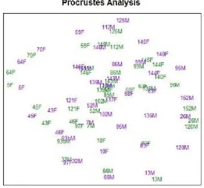 Figure 2.11: Skull Data: Procrustes Analysis Example