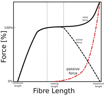 Figure 2.3: Full force-length curve for a muscle including passive and active components.