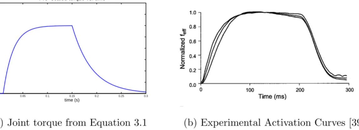 Figure 3.2: A comparison of muscle torques generated by Equation 3.1 to a typical muscle activation curve.