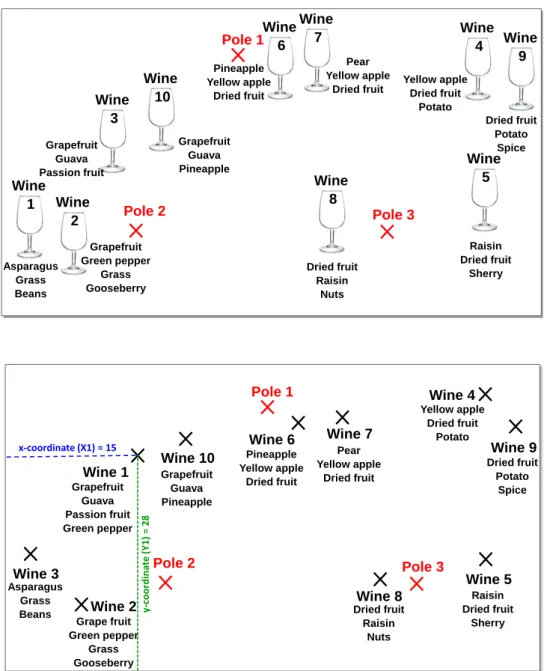 Fig.  6.  Schematic  presentation  of  polarised  projective  mapping  (PPM)  showing  how  sensory  judges  place  the  samples  relative  to  the  poles  on  a  2-dimensional  surface
