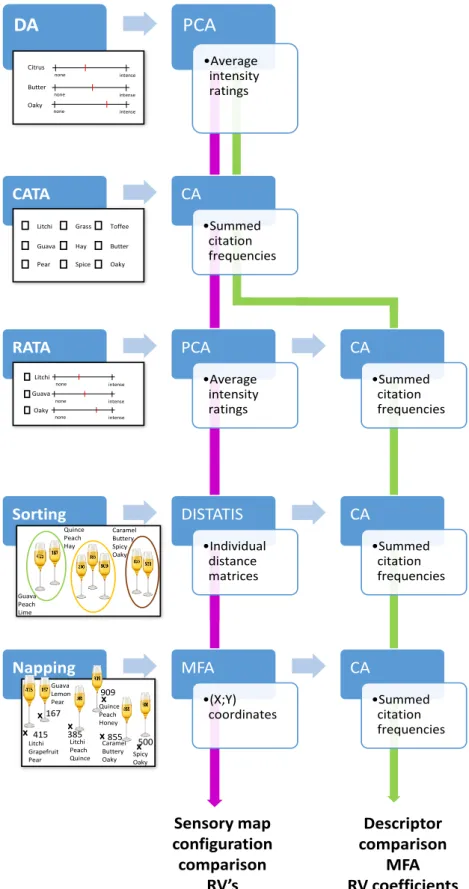 Fig. 1. Schematic overview of the comparison of the rapid methods: check-all-that-apply (CATA); rate-all- rate-all-that-apply (RATA); sorting and Napping to each other and descriptive analysis (DA)