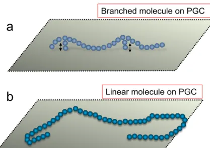 Figure  2.6  Proposed  alignment  of  branched  (a)  and  linear  PE  (b)  molecules  on  the  planar  PGC  surface as reported in Ref