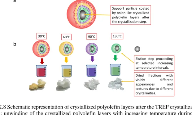 Figure 2.8 Schematic representation of crystallized polyolefin layers after the TREF crystallization  step  (a);  unwinding  of  the  crystallized  polyolefin  layers  with  increasing  temperature  during  the  elution step (b)