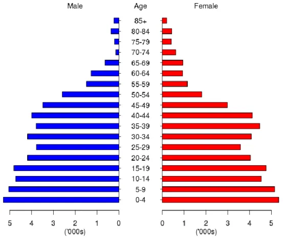 Figure 3: 2021 Projected Bangladeshi population pyramid, 2021  Source: Authors’ projections