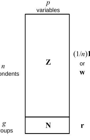 Figure 4: Data structure for individual respondent data Z and aggregated data N.  
