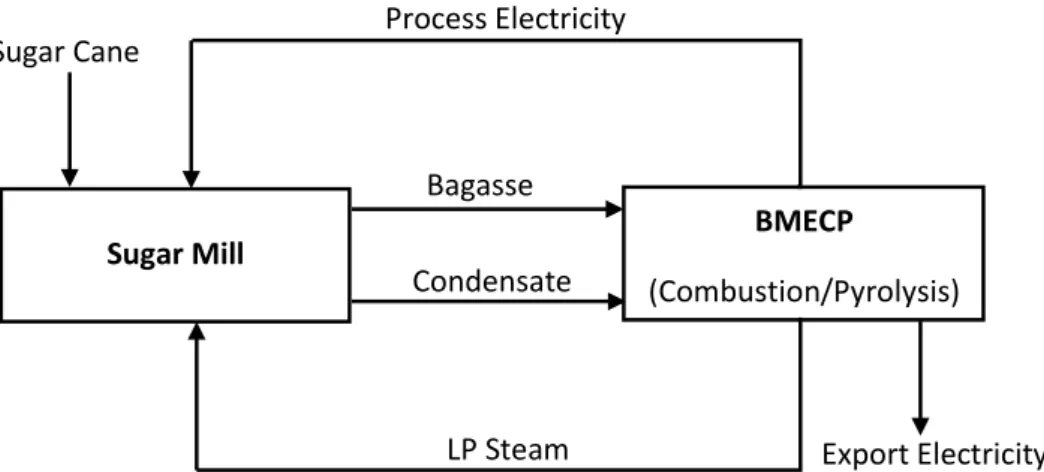 Figure 9: Schematic Block Flow Diagram of a BMECP lant  3.2.1 Choice of Scenarios 