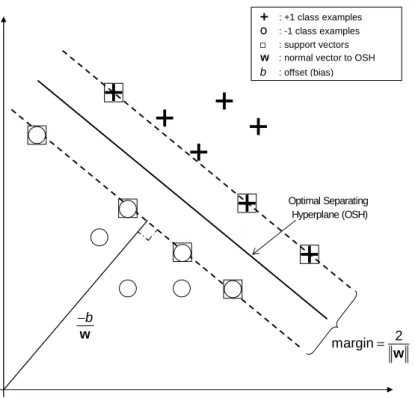 Figure 3.4: Geometric characterization of a linearly separable support vector classication problem.