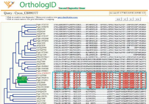 Figure 2.7: OrthologID Interface. The visual interface of OrthologID show- show-ing the charactieristic amino acids for a family highlighted in red