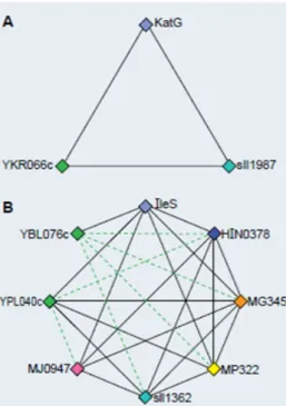 Figure 2.8: Clusters of Orthologous Groups (a) A Best Hit Triangle, the building block of COGs (b) COG constructed by merging triangles