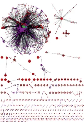 Figure 2.16: Shared Gene Network. Network of gene sharing for various organisms. Each node represents a genome