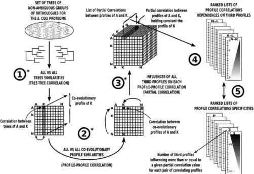 Figure 2.17: ContextMirror Method. Flow diagram for the ContextMirror Method. (From [80].)