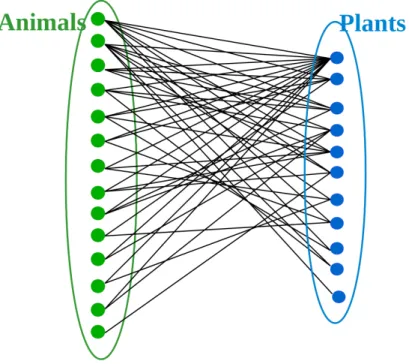 Figure 4.1: A seed dispersal interaction network between communities of birds and berries in Great Britain in 1988