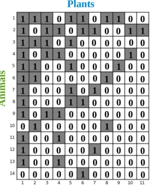 Figure 4.2: Adjacency matrix associated with the network in gure 4.1