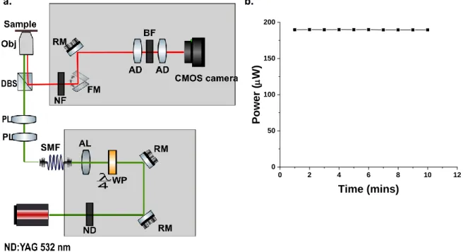 Figure 9. (a) Experimental setup that was used for imaging single molecules embedded in a thin polymer film  sample