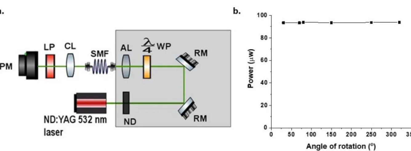 Figure  10.  (a)  Experimental  set-up  to  produce  circularly  polarized  light  through  the  insertion  of  a  quarter  waveplate