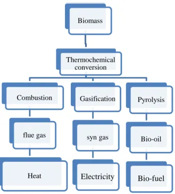 Figure 1-1: Different routes of biomass conversion [Devi, 2005] 