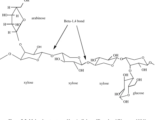 Figure 2-2: Molecular structure of hemicelluloses [Fengel and Wegener, 1984] 