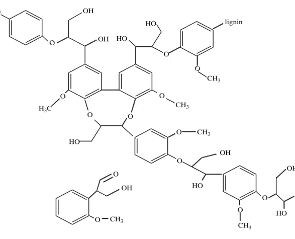 Figure 2-3: Molecular structure of lignin  [Safriti, 2005] 