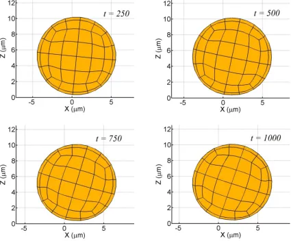 Fig. 4.8 Rolling sequence of a relatively stiff cell (η = 10 kPa, ν = 0.33, σ = 0.5 dyne/cm, a = 5 µm)