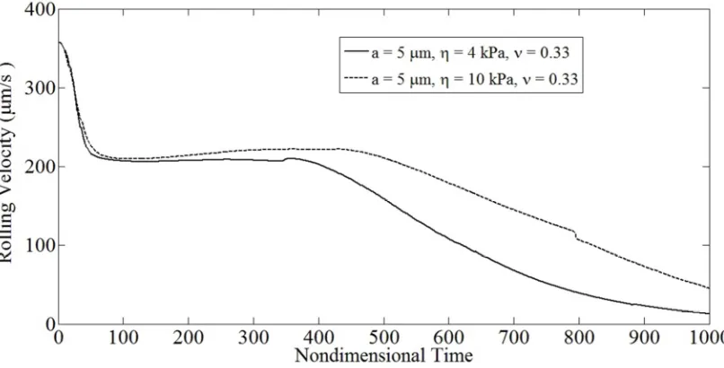 Fig. 4.9 Drop in the translational velocities of cells of identical dimensions and varying compliance with time