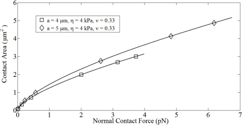 Fig. 4.11 Variation in contact area for cells with identical compliance and different sizes: a = 4 µm (□), a = 5 µm (◊) 