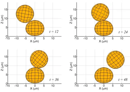 Fig. 5.6 Binary interactions between a firmly adherent, moderately deformed cell and  