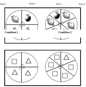 Fig 1 Example of the stimulus  