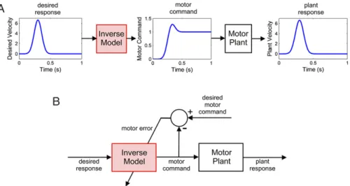 Fig. 3. Inverse model control of a simple viscoelastic motor plant. A: A desired plant response, in the form of a Gaussian signal, is transmitted through an inverse model of the viscoelastic motor plant (also used in Fig
