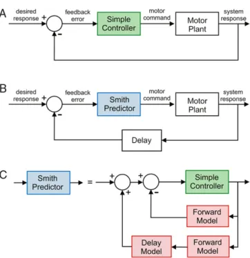 Fig. 6. The Smith predictor. A: Feedback control loop. A controller driven by feedback error causes a motor plant to track a desired response