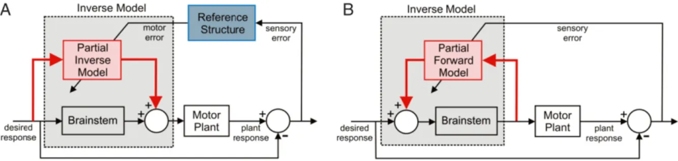 Fig. 8. Alternative architectures for adaptive inverse plant compensation. A: Motor-error architecture