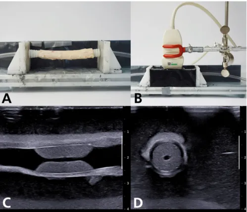Figure  4.3: Experimental SWE  setup used in Study II, showing (A) customised  ex-vivo  setup, (B)  mounted image scenario, (C-D) longitudinal and transverse B-mode images