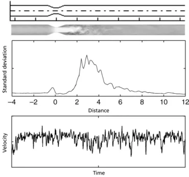 Figure 3.7: Illustration of incoherent  flow fluctuations  after a stenosis, presented for data from a   stenotic flow phantoms: (top) phantom  geometry and velocity field, with flow going from left to  right, (middle) velocity standard deviations along th