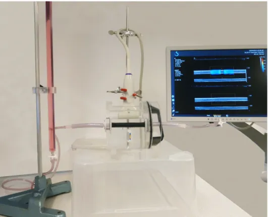 Figure 4.2: Experimental SWE setup used in Study I, showing fixation chamber, mounted image  transducer, and connected pressurisation column