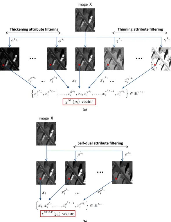 Fig. 1. Generation of (a) attribute profiles (APs) and (b) self-dual attribute profiles (SDAPs) from a grayscale image.