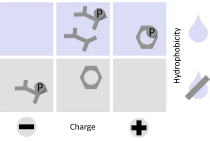 Figure 3.5: Sketch of a tabular representation of amino acids from the Amino Acid Ont