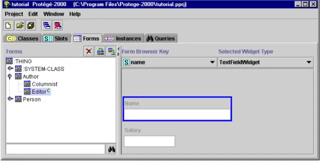 Figure 3.2: Protégé Frames forms tab for tailoring instance editing forms  [Stanford Medical Informatics 2005b] 