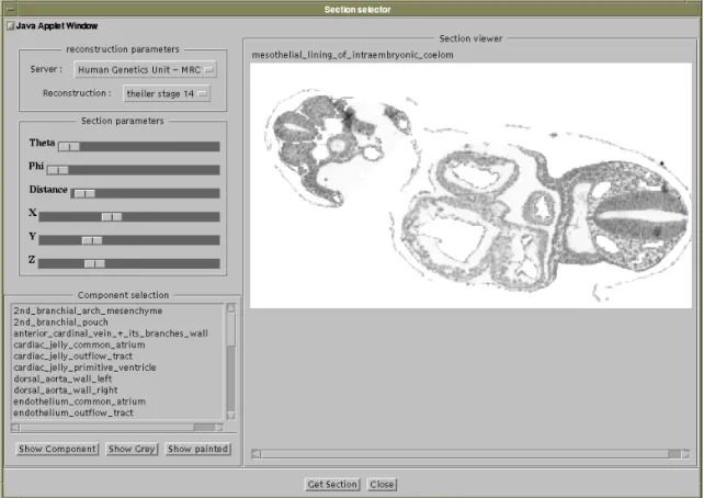 Figure 3.4: Gene Expression Information Resource Project - MOUSE ATLAS 