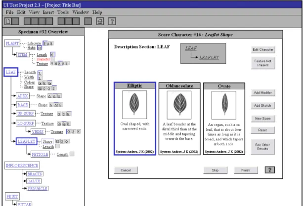 Figure 4.3 Example of data entry interface storyboard. 
