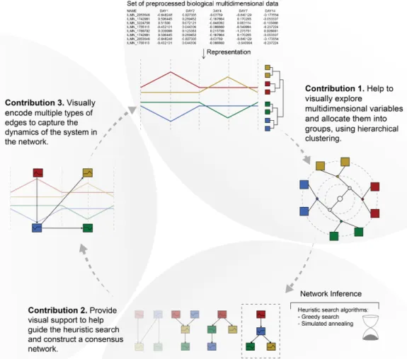 Figure 1.2: The visual analysis circle that describes the contributions of this thesis for inferring biological networks from multivariate data.