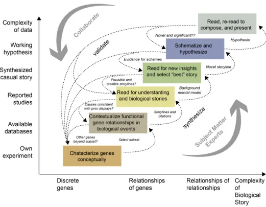 Figure 2.4: Sense-making model for exploring molecular level in- in-fluences on disease-related processes [130].