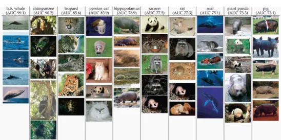 Figure 1.2: Example images from the ”Animal with attributes” dataset. Taken from [65].