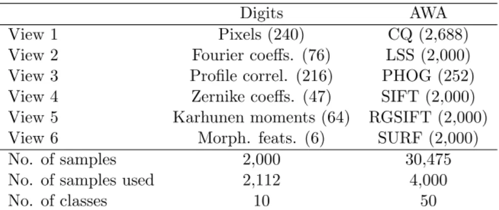 Table 2.2: Summary of the image datasets